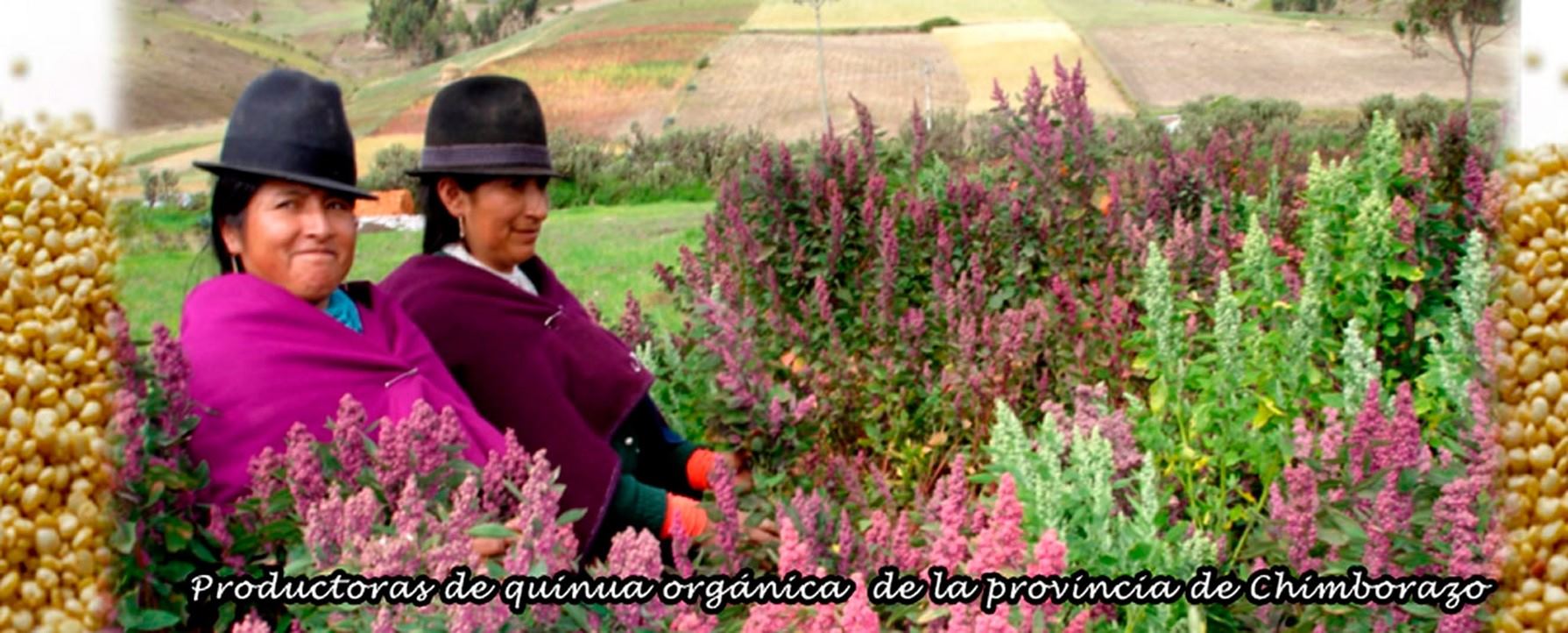 Productoras